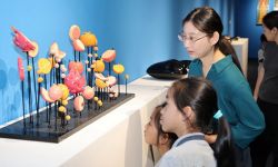 第四届高校工艺美术专业优秀毕业作品展在厦开展