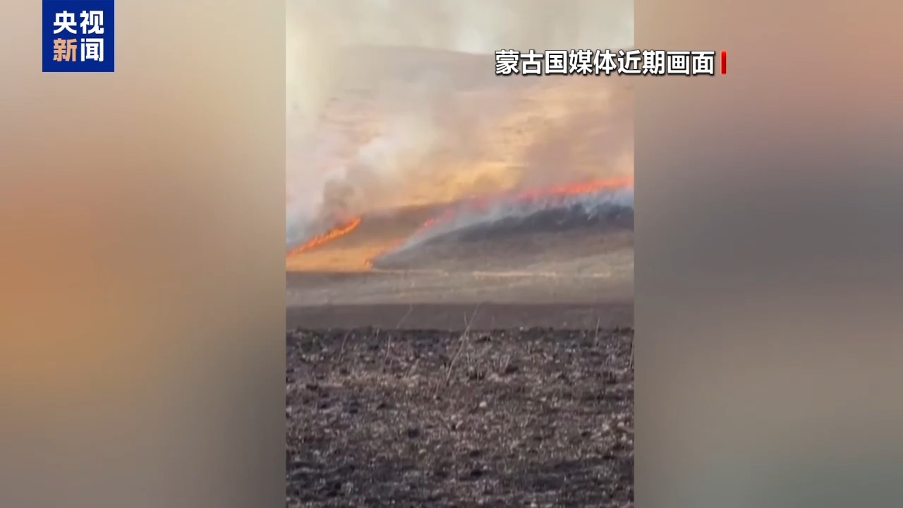 蒙古国总理将东部保护区大火定性为严重生态事件