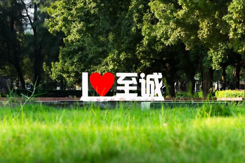 云淡风轻，风也温柔，不必步履匆匆，随心漫步，逛一逛，寻一寻，一同拾起至诚治愈的秋天。