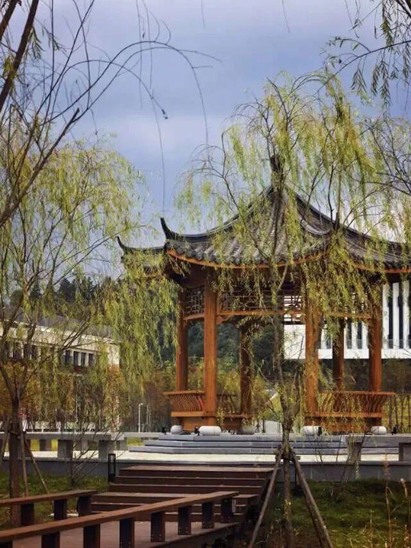 金秋的风，悄无声息地吻过金山校园的枝丫，秋光顺着染霜的叶脉悄然攀爬，暖阳揉碎在树影斑驳间，风一动，便抖落满树金黄与暖红，奏响深秋的私语。