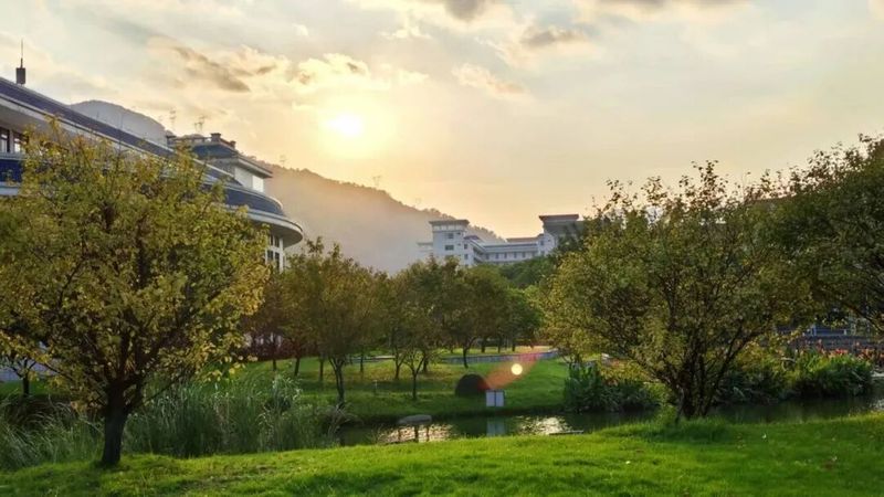 金秋的风，悄无声息地吻过金山校园的枝丫，秋光顺着染霜的叶脉悄然攀爬，暖阳揉碎在树影斑驳间，风一动，便抖落满树金黄与暖红，奏响深秋的私语。