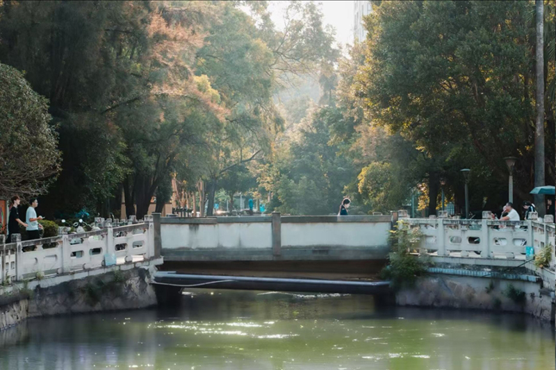 云淡风轻，风也温柔，不必步履匆匆，随心漫步，逛一逛，寻一寻，一同拾起至诚治愈的秋天。