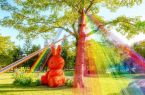 来赏秋！福建各高校已迎来最佳赏味期