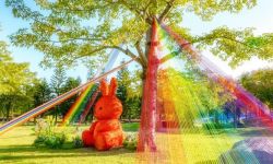 来赏秋！福建各高校已迎来最佳赏味期