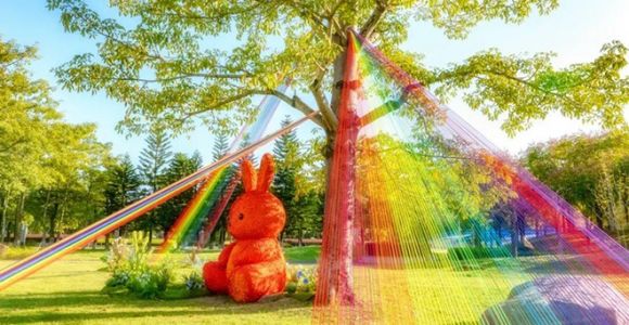 来赏秋！福建各高校已迎来最佳赏味期