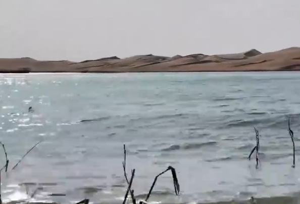 以为在海边 其实在沙漠 塔克拉玛干沙漠里藏着一片万亩淡水湖