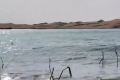 以为在海边 其实在沙漠 塔克拉玛干沙漠里藏着一片万亩淡水湖