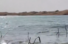 以为在海边 其实在沙漠 塔克拉玛干沙漠里藏着一片万亩淡水湖